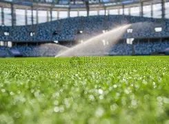 晓明回乡品,尝母厨佳肴,合影中缺席,巅峰国际,巅峰国际入口,巅峰国际平台,巅峰国际官方