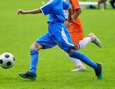 激情对决,博洛尼亚迎,战亚特兰大,巅峰国际,巅峰国际入口,巅峰国际平台,巅峰国际官方