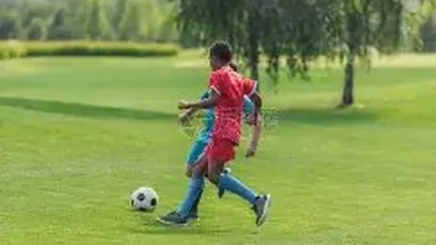 巅峰国际 产品 221026 fof