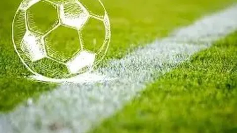 巅峰国际 产品 085011 ehl