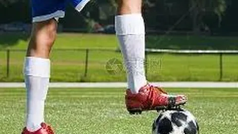 巅峰国际 产品 144053 ftr