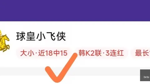 巅峰国际 195553 8